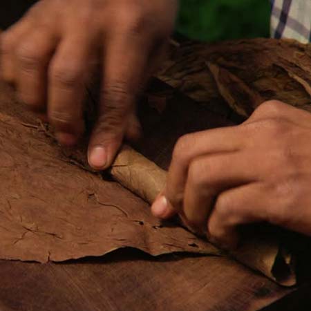 Fine Cigars Bayahibe