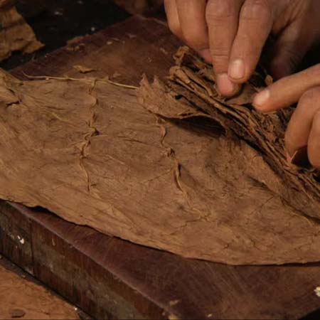 Humidor climatizado