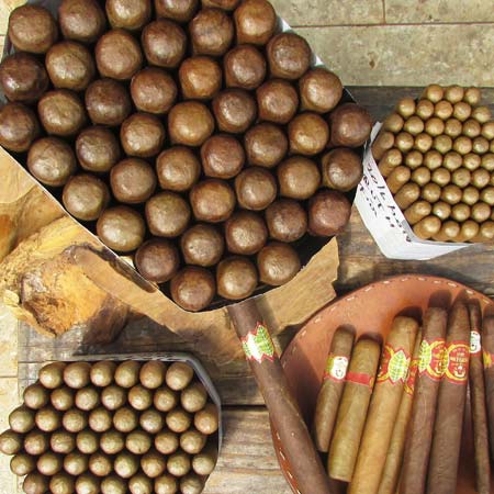 Artisan shaping a cigar